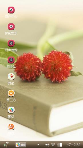 红毛丹