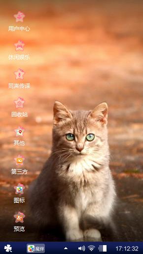 猫咪的注视