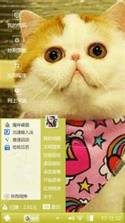 胖猫