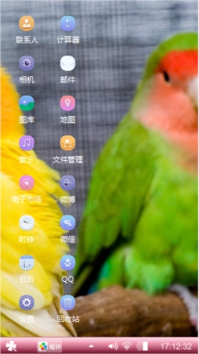 可爱鹦鹉