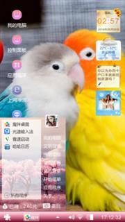 可爱鹦鹉