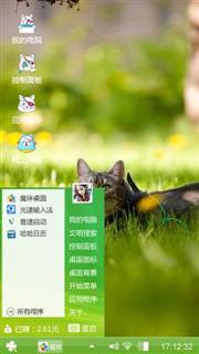 草丛中的猫咪