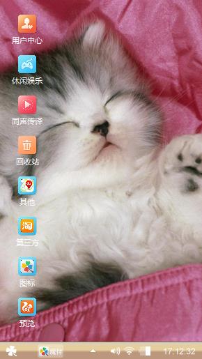 睡猫
