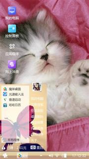 睡猫