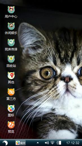 大脸猫