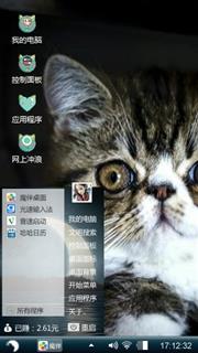 大脸猫