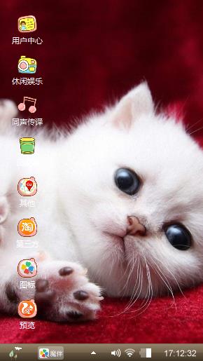 猫