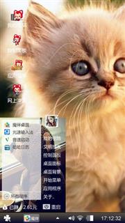 萌萌小猫咪