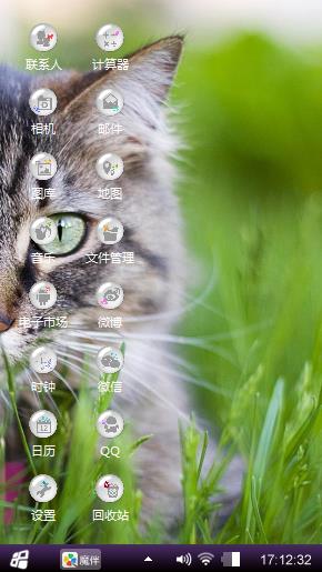 小猫