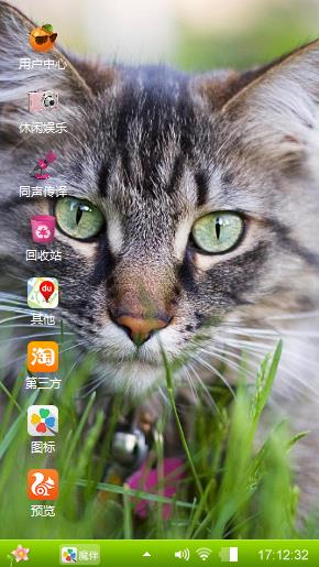 宠物