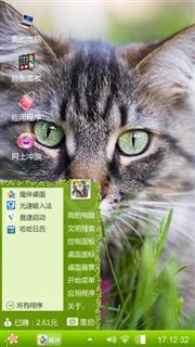 宠物