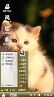 小猫萌萌哒