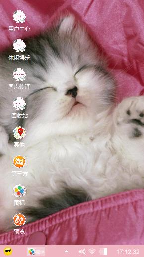 小奶猫