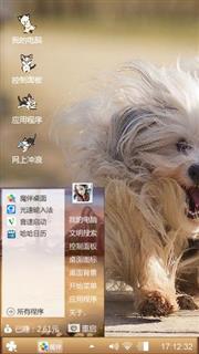 哈瓦那犬