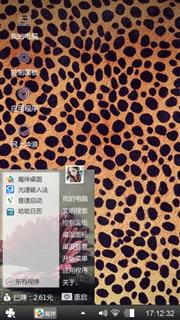 豹纹