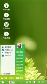 什么植物