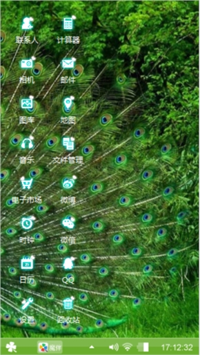 孔雀开屏