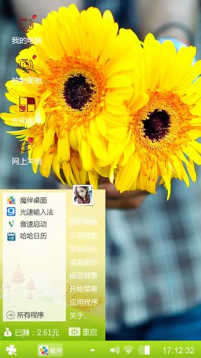 太阳花