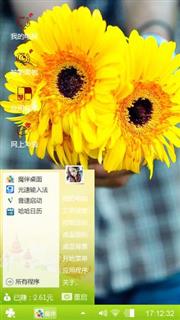 太阳花