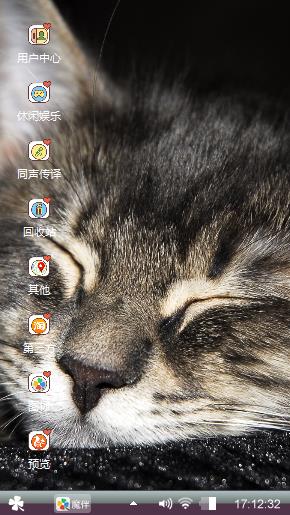 可爱的猫咪