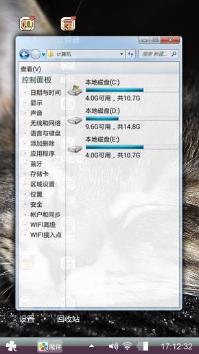 可爱的猫咪