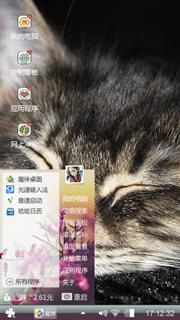 可爱的猫咪