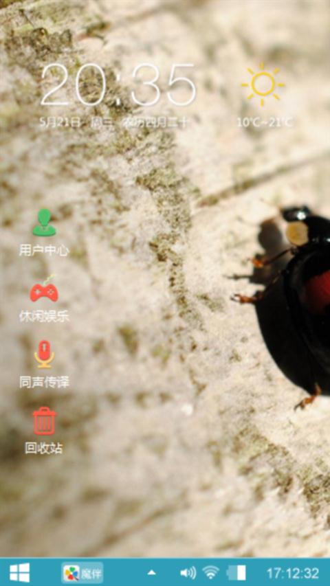 甲壳虫