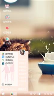 可爱的小猫咪
