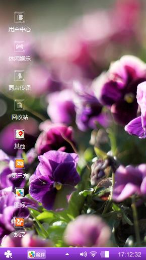 蝴蝶兰