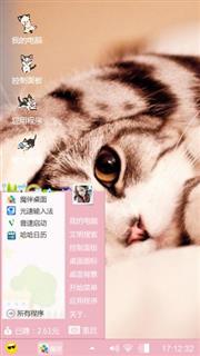 可爱小懒猫