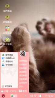 猫咪