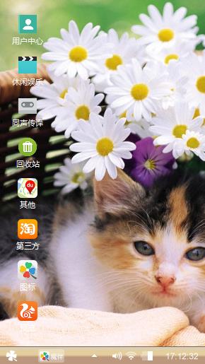 小花猫