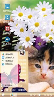小花猫