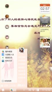 情琴