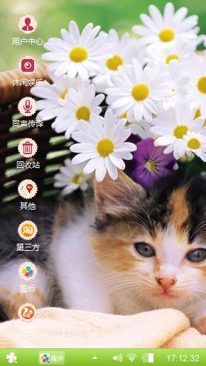 小花猫