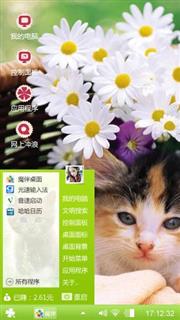 小花猫