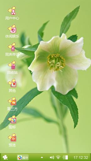 洁白的花朵