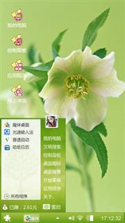洁白的花朵