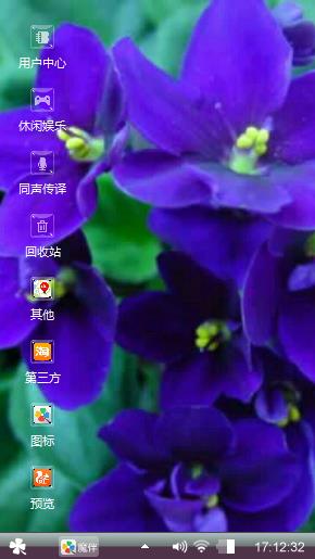 紫罗兰