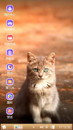 可爱的猫咪