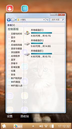 可爱的猫咪