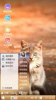 可爱的猫咪