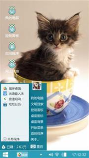 呆萌茶杯猫