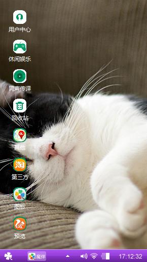 慵懒猫咪