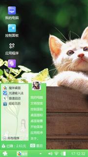 宠物猫