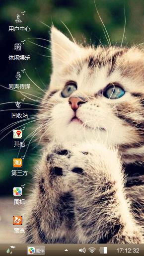 可爱猫咪