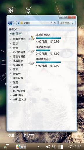 可爱猫咪