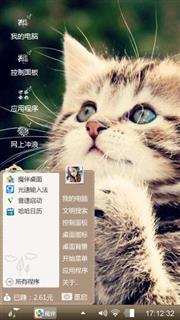 可爱猫咪