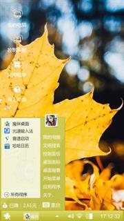 枯黄的枫叶