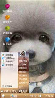 泰迪
